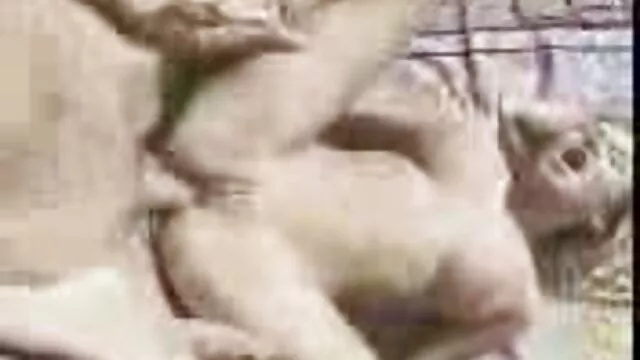 فتاة الشرج أنا سكس أجنبية منوعة لست الروسية